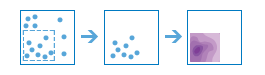 Calculate Density workflow